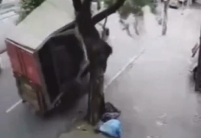 Caminhão-baú atinge árvore em avenida de Belo Horizonte