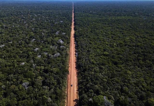 Emissões de gases de efeito estufa crescem 16% no entorno da BR-319