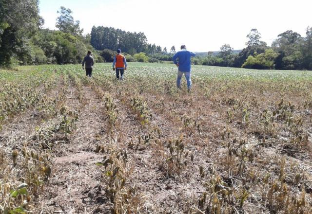 Região sul, MS e SP com muita chuva nesta 6ª feira