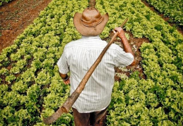 Governo relança Programa de Aquisição de Alimentos