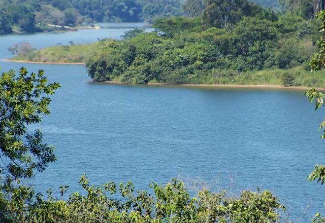 Apenas 7% dos rios da Mata Atlântica têm água de boa qualidade