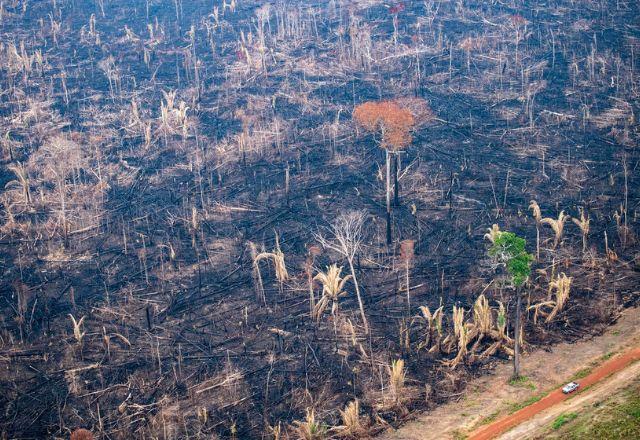 Contribuição do Brasil para conter crise climática é mais do que significativa