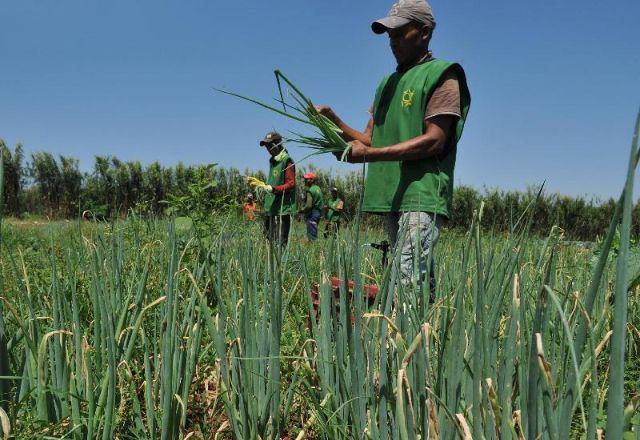 Após queda, desemprego registra alta de 8,8% no trimestre móvel; entenda