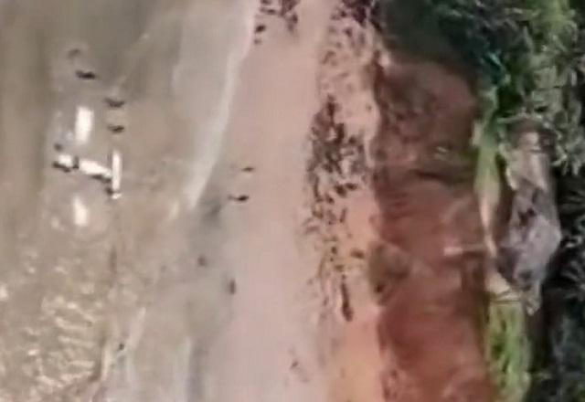 Avião faz pouso forçado à beira do mar em praia do Maranhão