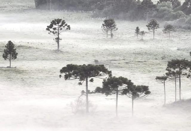 Previsão: forte frente fria chega ao sul; sudeste ainda tem sol e ar seco