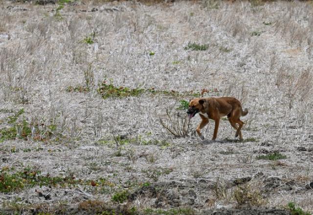 ONU: mundo deve se preparar para temperaturas recorde