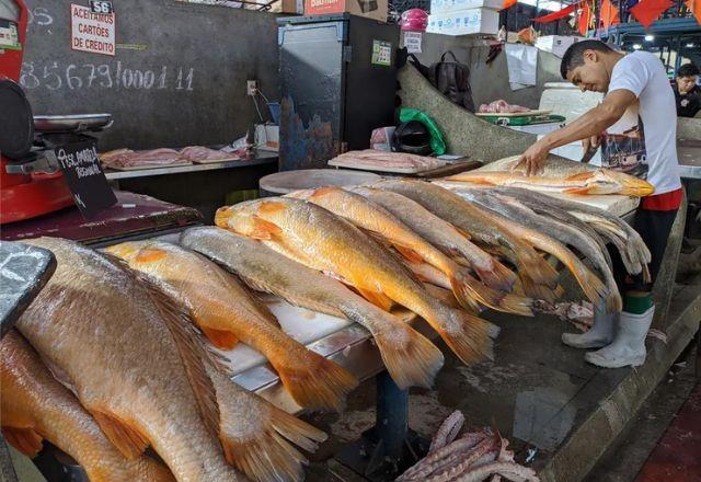 Peixes consumidos em 6 estados da Amazônia têm contaminação por mercúrio