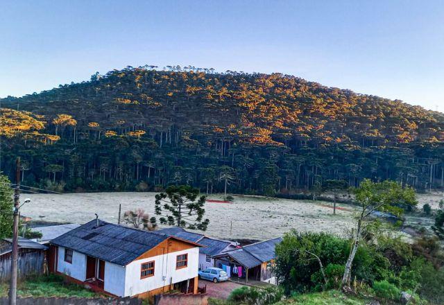 Serra Catarinense amanhece com temperaturas baixas e formação de geada