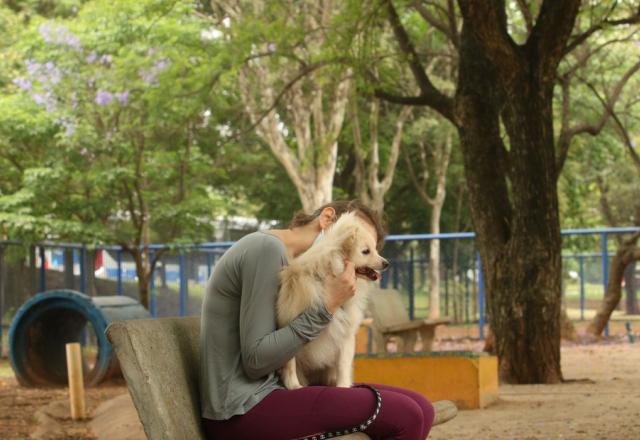 Animais podem contrair febre maculosa; veja cuidados