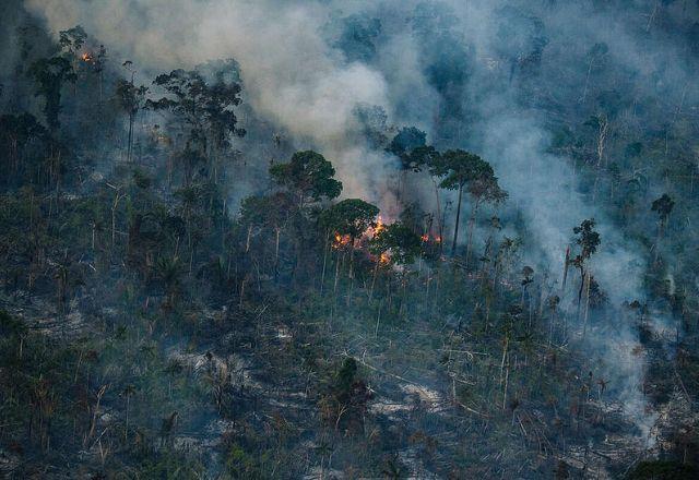 Primeiro semestre de 2023 tem alta nos focos de calor na Amazônia