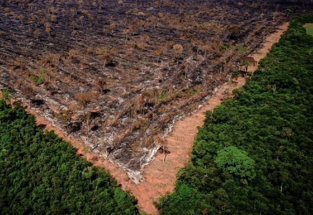 Queimadas tiveram os piores índices dos últimos 16 anos em junho