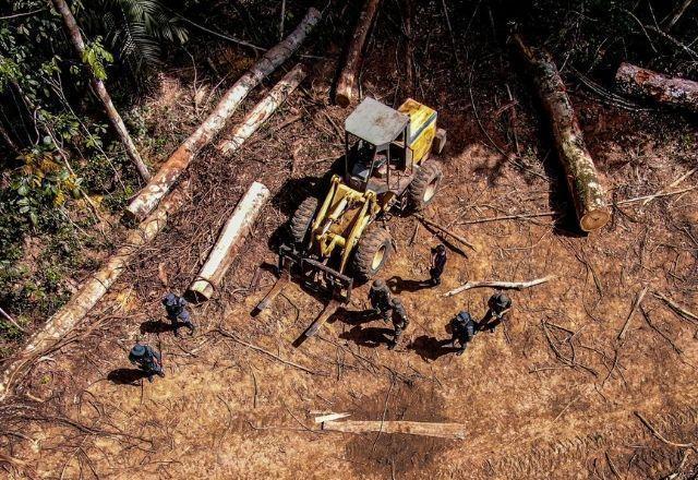 Desmatamento na Amazônia tem queda após 4 anos; alertas batem recorde no Cerrado