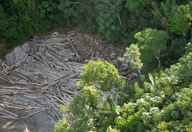 Justiça Federal bloqueia R$ 95,6 milhões em bens de desmatadores da Amazônia