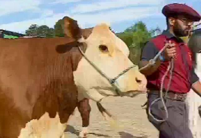 Maior feira de agronegócio da América Latina começa no RS