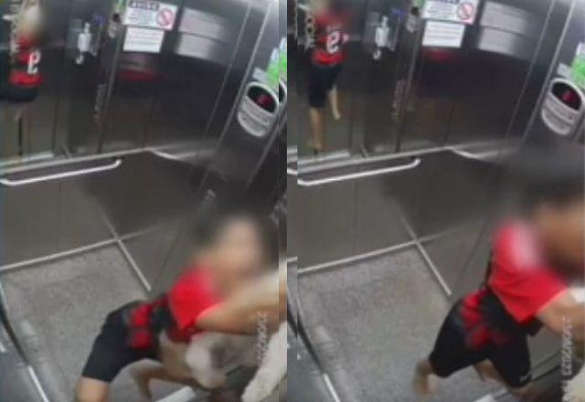 Vídeo: criança salva cachorro preso na porta de elevador