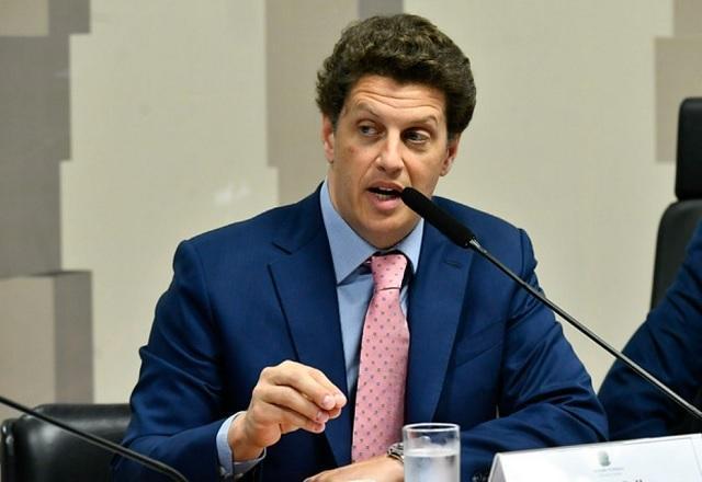 Ex-ministro do Meio Ambiente Ricardo Salles vira réu por exportação ilegal de madeira