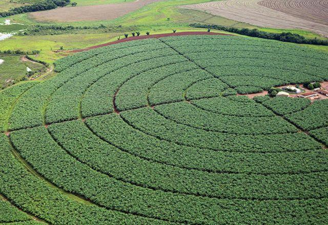 O agronegócio está pronto para absorver a pressão por compliance?