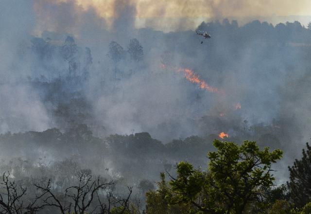 Brasil perdeu "duas Alemanhas e meia" em vegetação nativa