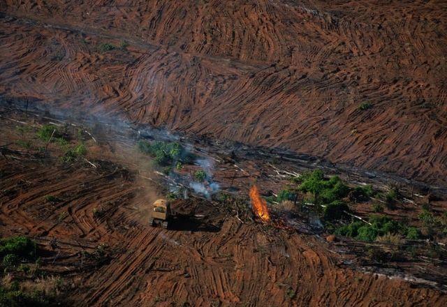 Área sob alertas de desmatamento na Amazônia cai 66% em agosto