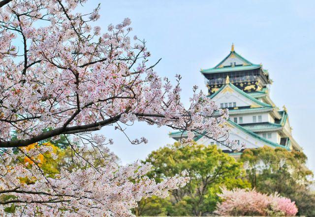 Buscas por passagens aéreas ao Japão aumentam 135% com isenção de visto