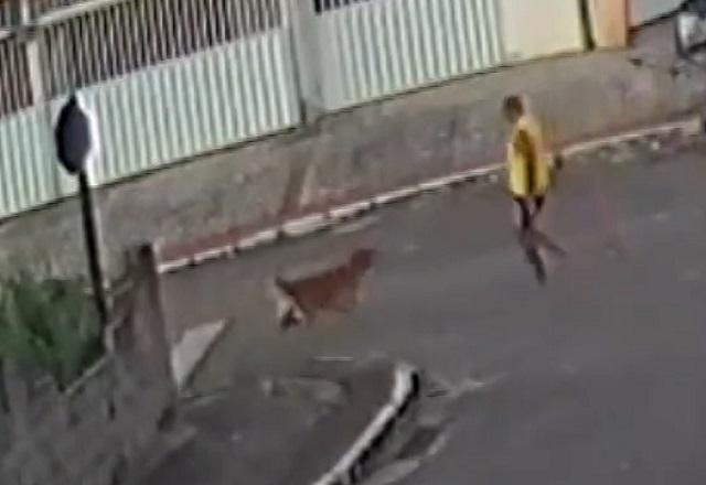 Câmera registra subtenente da PM matando cachorro a tiros