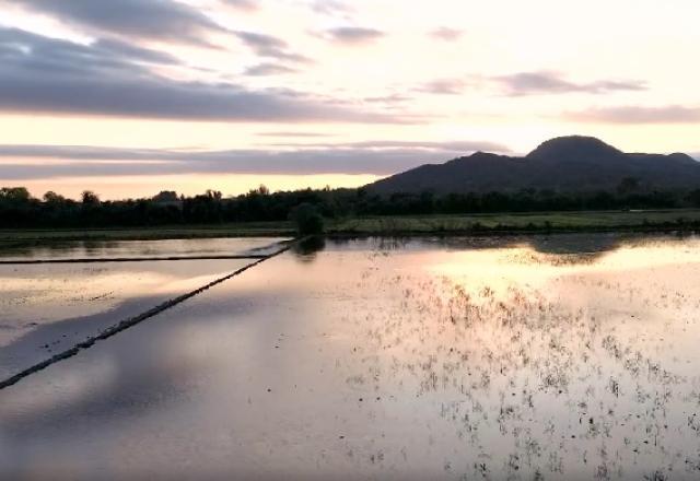 Agricultura e pecuária acumulam prejuízo bilionário por causa das chuvas no sul