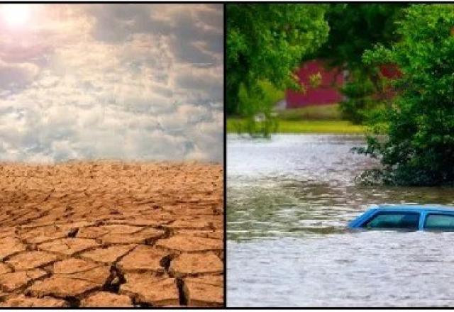 Chuva acima da média no centro-sul e abaixo Norte e Nordeste; veja prognóstico do Inmet para safra de grãos