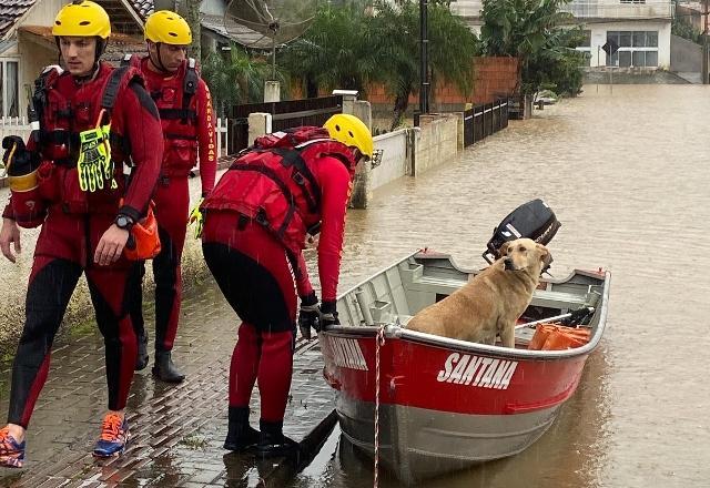 Sinal de perigo: região Sul volta a enfrentar ventania e chuva forte