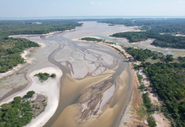 Recuperação de áreas atingidas por seca e queimadas na Amazônia pode levar 150 anos