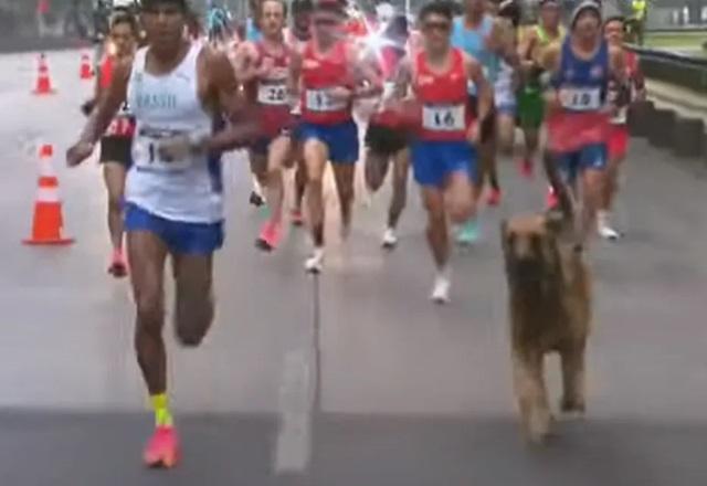 Cachorro invade maratona e corre ao lado de corredor brasileiro no Pan