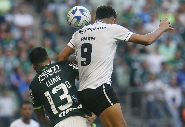 Botafogo x Palmeiras: onde assistir, escalações e desfalques