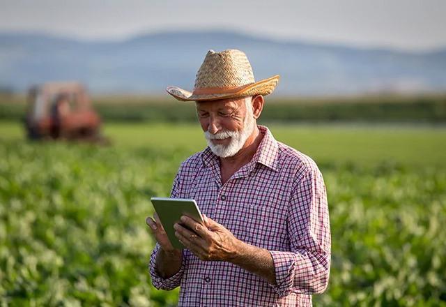 Inadimplência rural: estudo apresenta perfil dos negativados do agronegócio