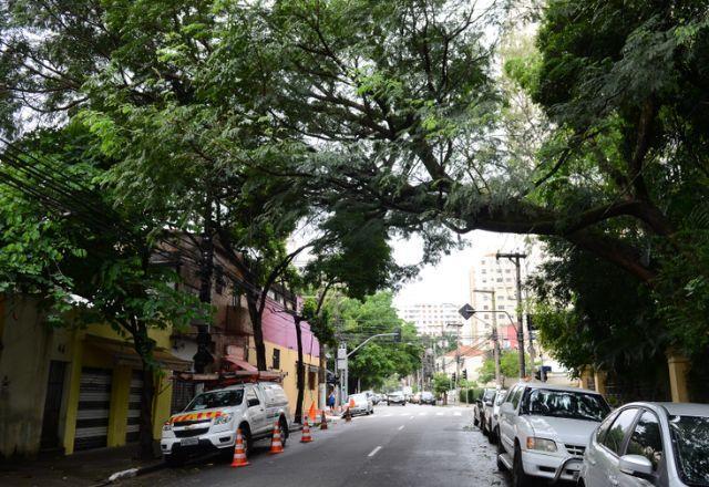 Sobe para oito o número de mortos por causa das chuvas em SP