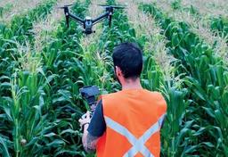 Imagem da notícia Empregos no Agronegócio: oportunidades técnicas e redução de vagas