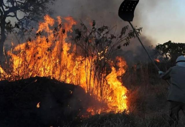 Ações do Brasil sobre o meio ambiente entram em contradição com discurso no exterior