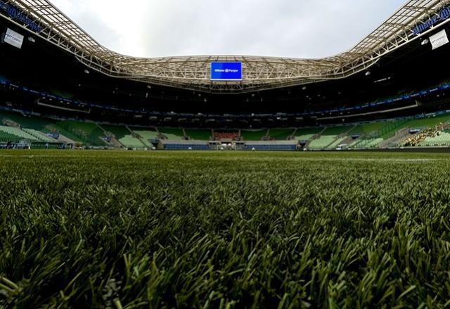 WTorre pede troca de composto termoplástico do gramado do Allianz Parque